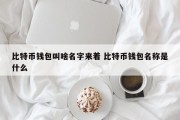 比特币钱包叫啥名字来着 比特币钱包名称是什么