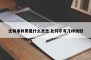比特币种类是什么意思 比特币有几种类型