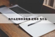 为什么比特币没有用 比特币 为什么