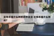 比特币是什么样的币种合法 比特币是什么样的?