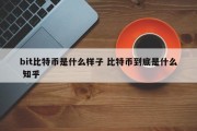 bit比特币是什么样子 比特币到底是什么 知乎