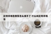 比特币钱包类型怎么填不了 什么叫比特币钱包