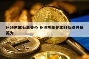 比特币英为美元价 比特币美元实时价格行情英为